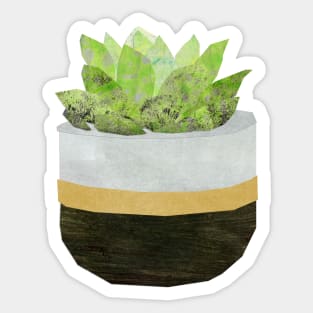 Houseplant - Echeveria Sticker